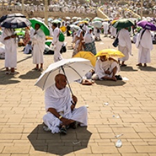 Pilgrims use umbrellas to shade themselves from extreme heat during annual pilgrimage to Mecca. 